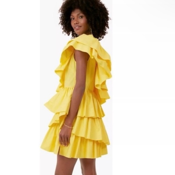 Tuckernuck Hyacinth House Yellow Ruffle Sofie Mini Dress Size XL new with tags - Picture 2 of 11